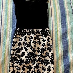 Ann Taylor skirt and black top.